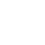 Safe icon